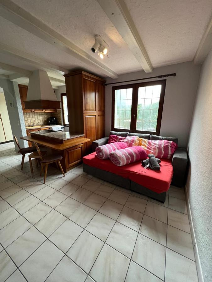 Tiny Apartment With Amazing View, Garden & Terras Schattdorf エクステリア 写真