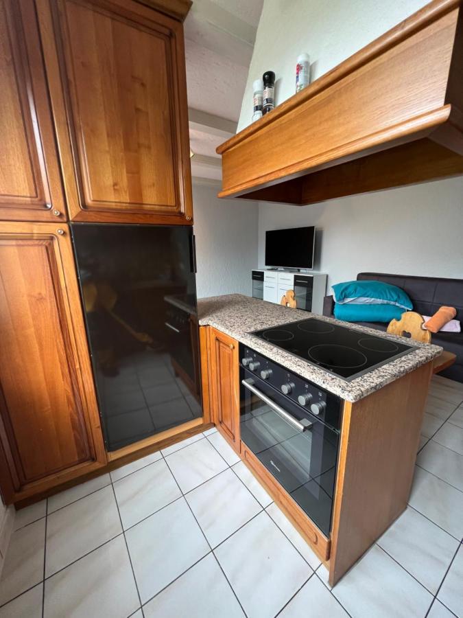 Tiny Apartment With Amazing View, Garden & Terras Schattdorf エクステリア 写真